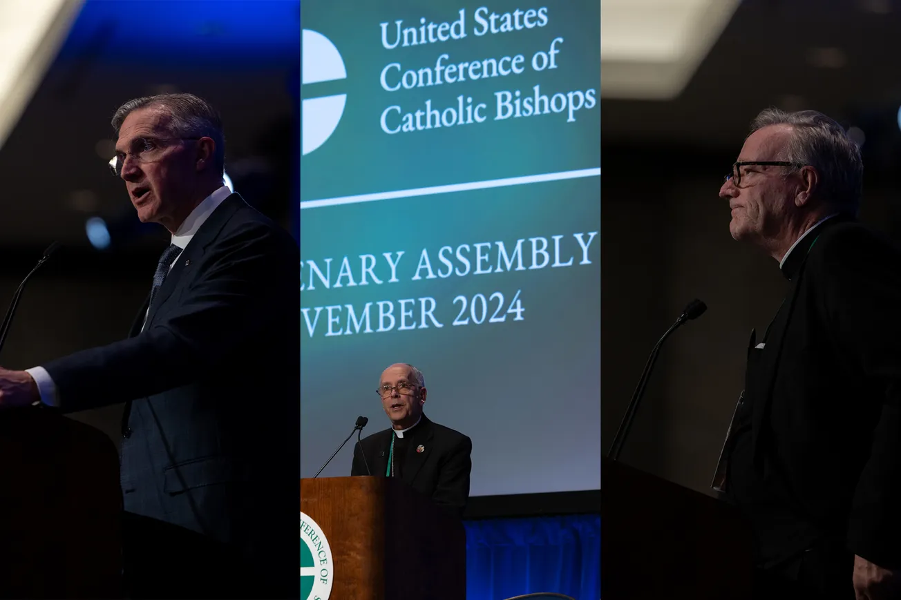 Dueling ideologies and a curious case of the cat-got tongue at 2024 bishops' meeting in Baltimore